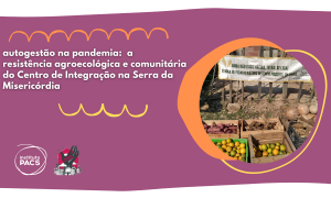 Autogestão na pandemia: a resistência agroecológica e comunitária do Centro de Integração na Serra da Misericórdia 