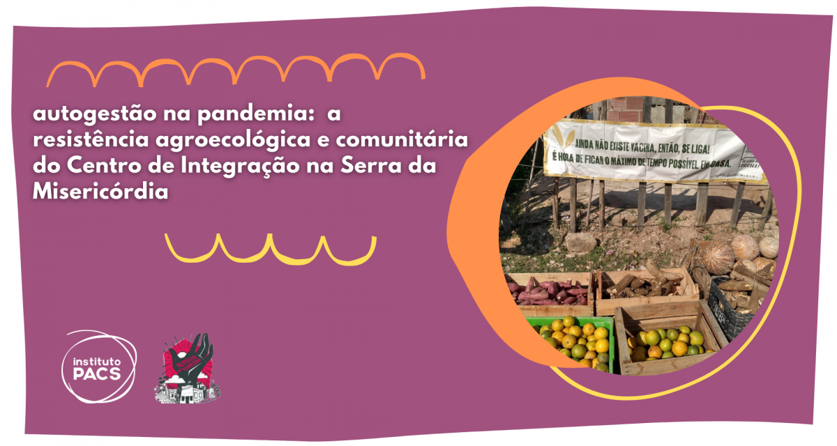 Autogestão na pandemia: a resistência agroecológica e comunitária do Centro de Integração na Serra da Misericórdia 